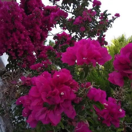 Σπίτι διακοπών View Αμπελάς